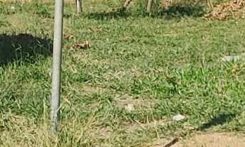 Imagem 6: 360M² de Área Construída na Rua Mário Lúcio Solano Filho