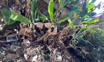 Imagem 5: 2 dormitórios na Rua José Cornélio Dos Santos