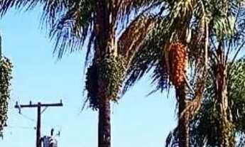 Imagem 3: CASA E CHALÉ CANASTRA MARIA COSTA/ REGIÃO GLORIA/CAPITÓLIO -ALUGUE POR DIA