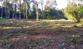 Imagem 4: Terreno, Praia da Maranduba, Ubatuba - R$ 300 mil