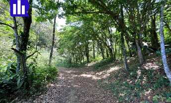 Imagem: Área - Terreno à venda em Ubatuba-SP