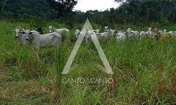 Imagem 5: Área, 7M² de Área Construída