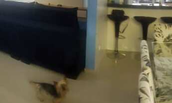 Imagem: Casa Térrea Terras do Vale - Caçapava