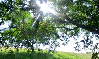 Imagem 2: TERRENO RESIDENCIAL em CABREÚVA - SP, Pinhal