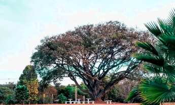 Imagem: TERRENO RESIDENCIAL em CABREÚVA - SP, PINDORAMA