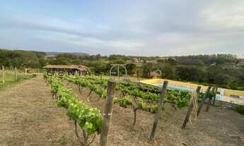 Imagem 2: SITIO RURAL em CABREÚVA - SP, Bairro Cai