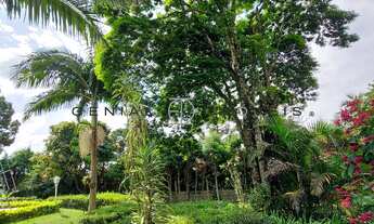 Imagem 7: CHACARA RESIDENCIAL em CABREÚVA - SP, Pinhal