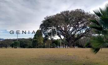 Imagem 4: TERRENO RESIDENCIAL em CABREÚVA - SP, Jacaré