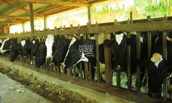 Imagem 5: FAZENDA RURAL em BOCAINA DE MINAS - MG, Centro