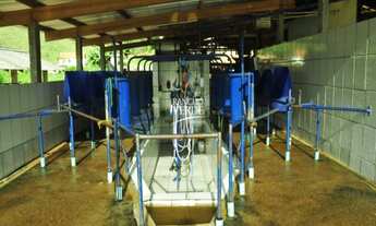 Imagem 7: FAZENDA RURAL em BOCAINA DE MINAS - MG, Centro