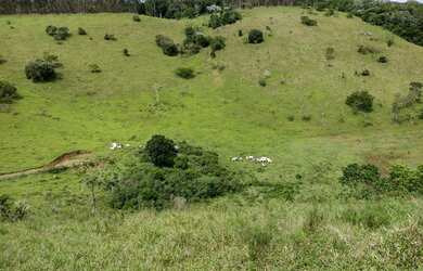 Imagem 4: FAZENDA RURAL em NATIVIDADE DA SERRA - SP, CENTRO