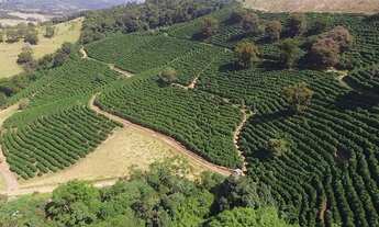 Imagem 3: FAZENDA RURAL em CAMBUQUIRA - MG, CENTRO