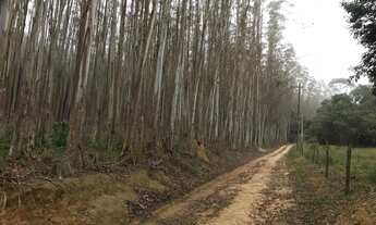 Imagem: SÍTIO RURAL em BIRITIBA-MIRIM - SP, RURAL