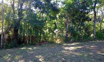 Imagem 2: SÍTIO RURAL em SÃO FRANCISCO XAVIER - SP, RIO MANSO