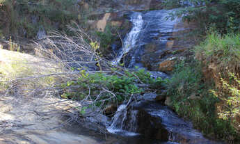 Imagem: FAZENDA RURAL em SILVEIRAS - SP, CENTRO