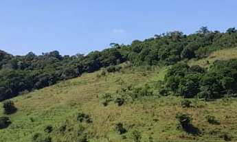 Imagem: FAZENDA RURAL em PARAIBUNA - SP, PAVOEIRO