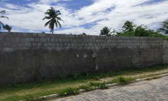 Imagem 3: 2 lotes de terreno em excelente localização! terreno plano e todo murado