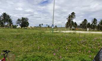 Imagem 6: 2 lotes de terreno em excelente localização! terreno plano e todo murado