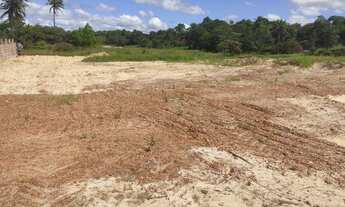 Imagem 3: Excelente Terreno Plano na estrada da Taiba, com Habitações ao redor, eletrificação na CE