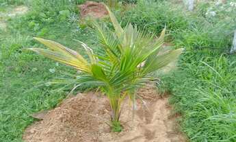 Imagem 3: Linda Casa na estrada do Barra Mar, próximo ao mar