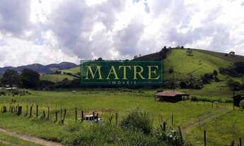 Imagem: AREA COMERCIAL em CAMBUÍ - MG, Roseta