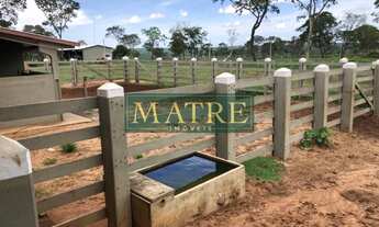 Imagem 2: FAZENDA RURAL em SANTA RITA DO PARDO - MS, Zona Rural