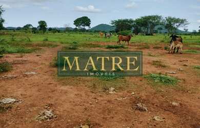 Imagem 2: FAZENDA RURAL em MIRANDA - MS, Rural