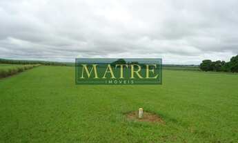 Imagem 2: FAZENDA RURAL em RANCHARIA - SP, Área Rural