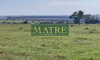 Imagem: FAZENDA RURAL em INOCÊNCIA - MS, Zona Rural