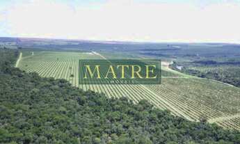 Imagem 5: FAZENDA RURAL em BROTAS - SP, Zona Rural