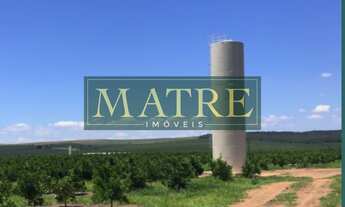 Imagem 6: FAZENDA RURAL em BROTAS - SP, Zona Rural
