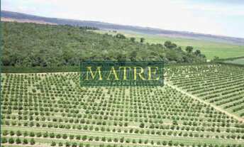 Imagem 2: FAZENDA RURAL em BROTAS - SP, Zona Rural