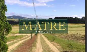 Imagem: TERRENO EM CONDOMINIO RESIDENCIAL em JOANÓPOLIS