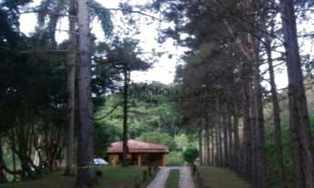 Imagem 3: MARAVILHOSO HARAS - COM TOTAL ESTRUTURA E ÁREA DE