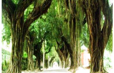 Imagem 3: Ótimo Terreno em condomínio fechado!!!