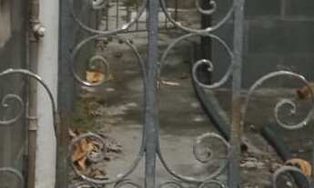 Imagem 2: CASA COMERCIAL em NITERÓI - RJ, ICARAÍ