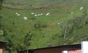 Imagem: MARAVILHOSO HARAS - COM TOTAL ESTRUTURA