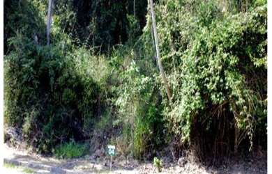 Imagem 5: Ótimo Terreno em condomínio fechado!!!