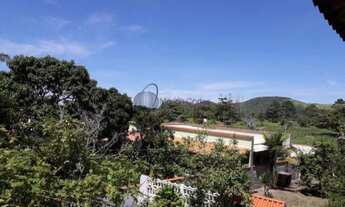 Imagem: Ótimo Sítio com árvores frutíferas