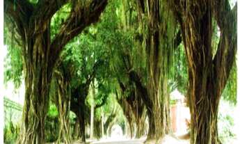 Imagem 3: Ótimo Terreno em condomínio fechado!!!