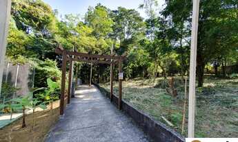 Imagem 5: EXCELENTE COBERTURA NO BOSQUE DO MIRATAIA