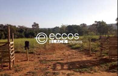Imagem 4: Chácara para venda a 35 km de Uberlândia