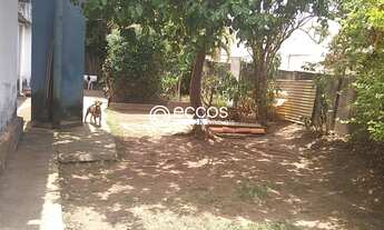 Imagem: Terreno para venda em ótima localização