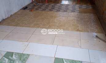 Imagem 6: Chácara para venda