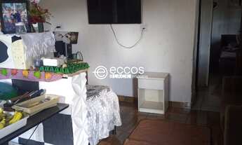 Imagem 5: Chácara para venda