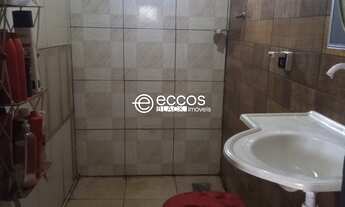 Imagem 3: Chácara para venda