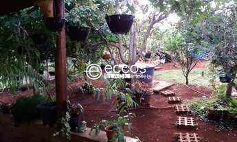 Imagem 6: Ótima chácara para venda na BR-452 no condomínio Mirante do Miranda