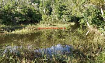 Imagem 7: Sítio com 21.400 m² de terreno e 300 metros de frente para o Rio Jeribucaçu. Itacaré Bahia
