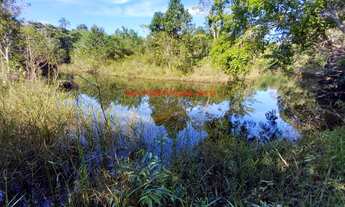 Imagem 6: Sítio com 21.400 m² de terreno e 300 metros de frente para o Rio Jeribucaçu. Itacaré Bahia