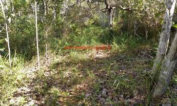 Imagem 4: Sítio com 21.400 m² de terreno e 300 metros de frente para o Rio Jeribucaçu. Itacaré Bahia